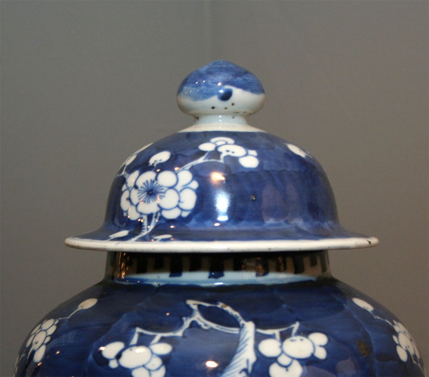 Pair of 19th Century Blue & White Temple Jars 5