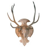 Decorative Mounted Stag's Head