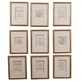 Set of 6 Custom Made Shadowboxes encasing Intaglios