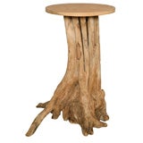 Tree Trunk  Base