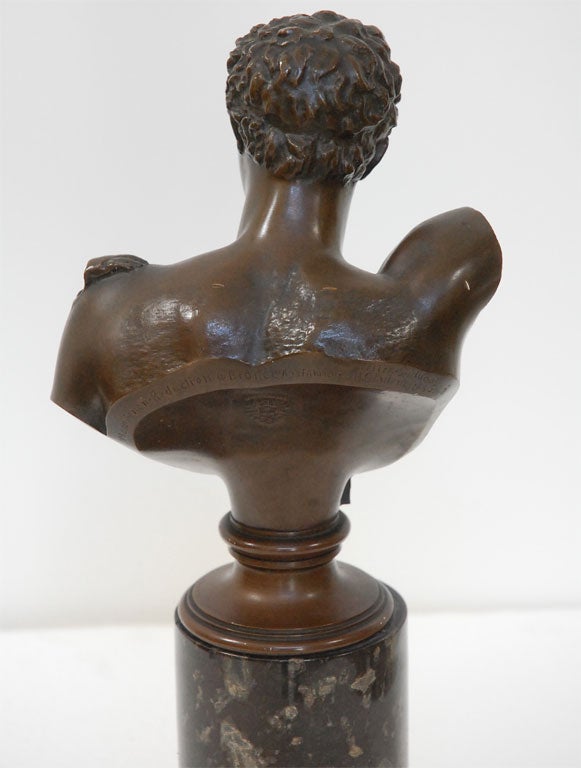 Bronze Bust of Apollo - Gladenbeck+Sohn (GMD#2183) 1
