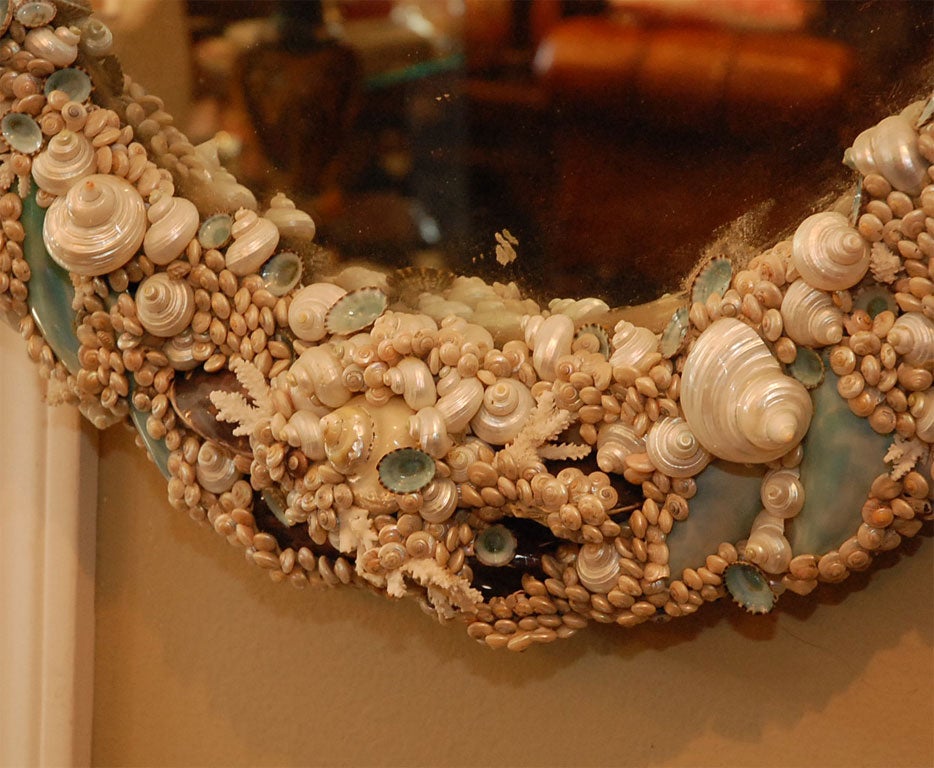 Shell Custom Oval Seashell Mirror