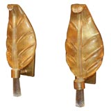 Pair of Gold Murano Glass Leaf Sconces