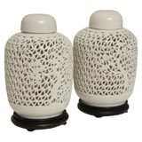 Lovely Pair of Electrified Blanc de Chine Lanterns
