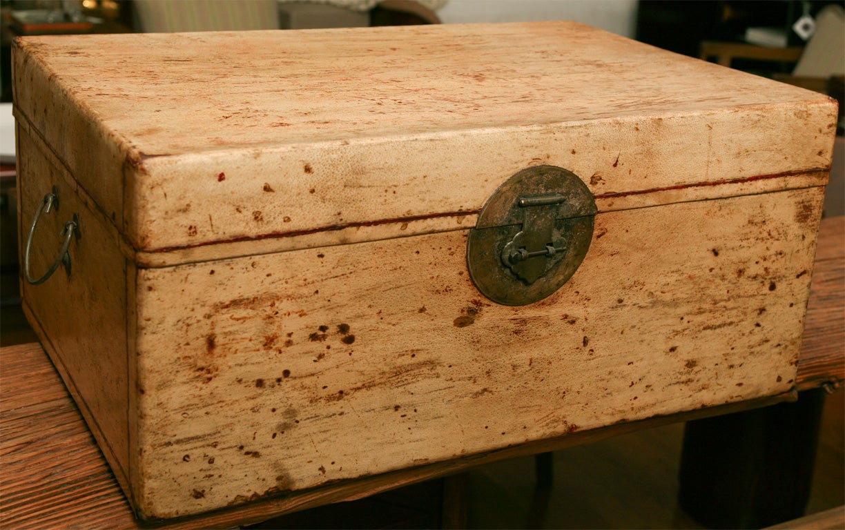 Cream Vellum Trunk 5