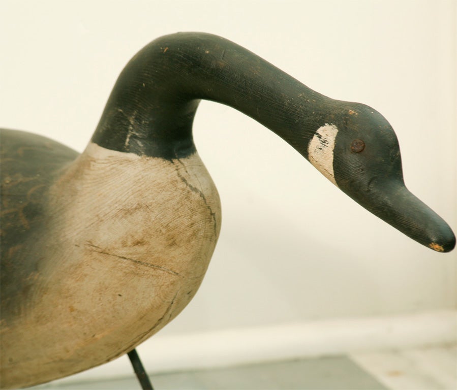 Mid-20th Century Carved Decoy of Canadian Goose
