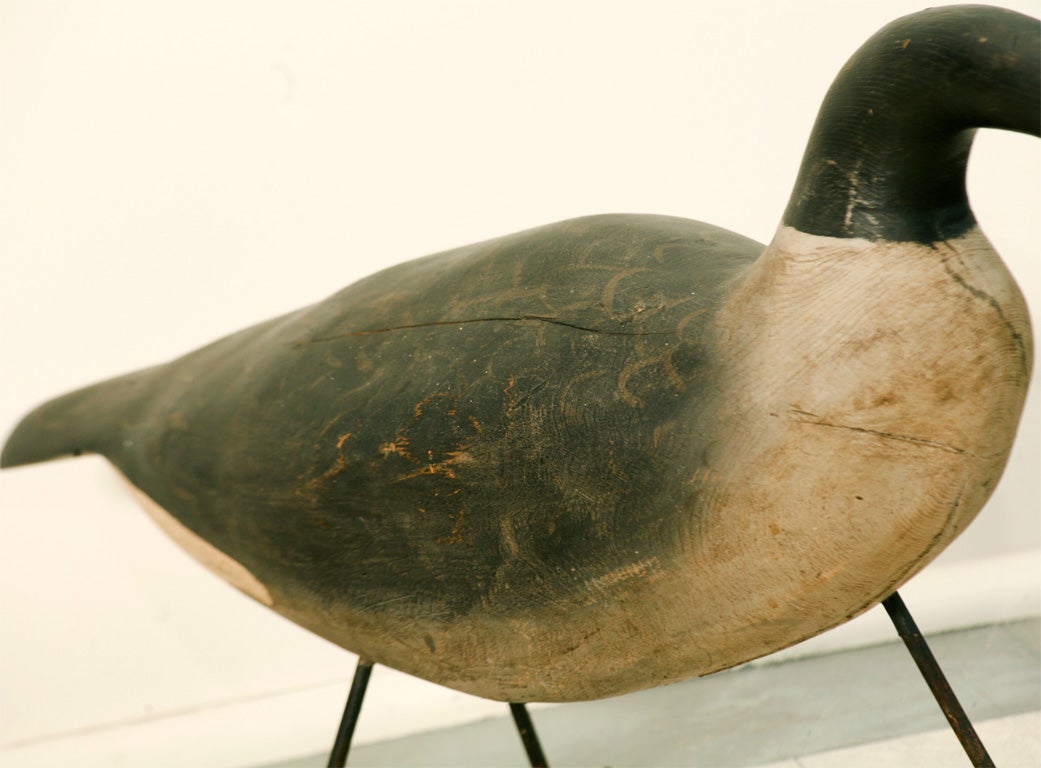 Wood Carved Decoy of Canadian Goose