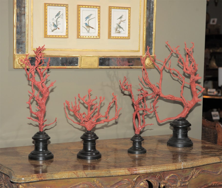 Each of irregular size and design; the wood painted a rich red orange to resemble real coral specimens; mounted on individual ebonized wood stands.