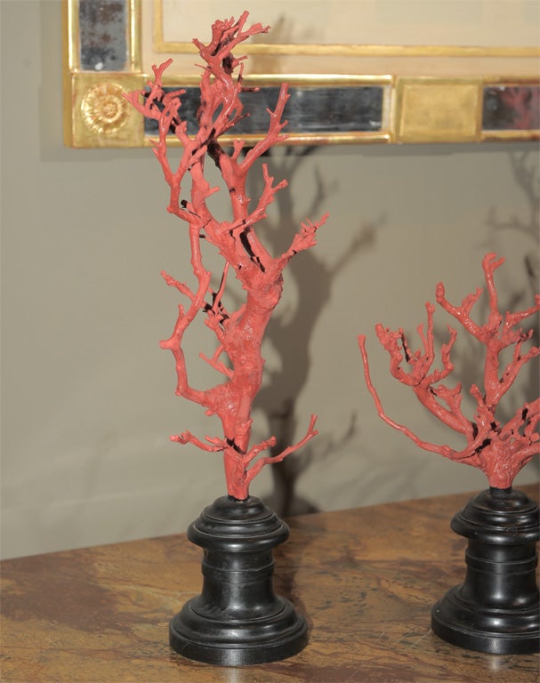 Painted A Robust Set of Four Faux Coral Branches