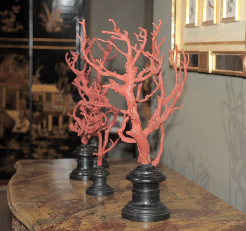 Wood A Robust Set of Four Faux Coral Branches