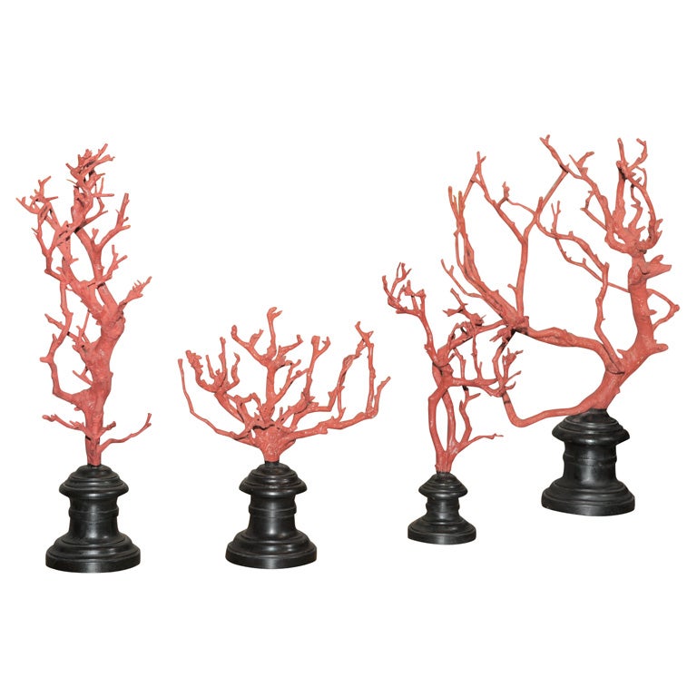 A Robust Set of Four Faux Coral Branches