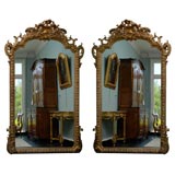 Pair of  Late18th Century Louis XIV/XV Gillded Palace Mirrors