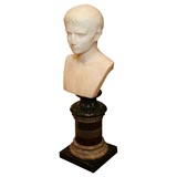 Grand Tour Marble Bust of Caesar, 19th Century