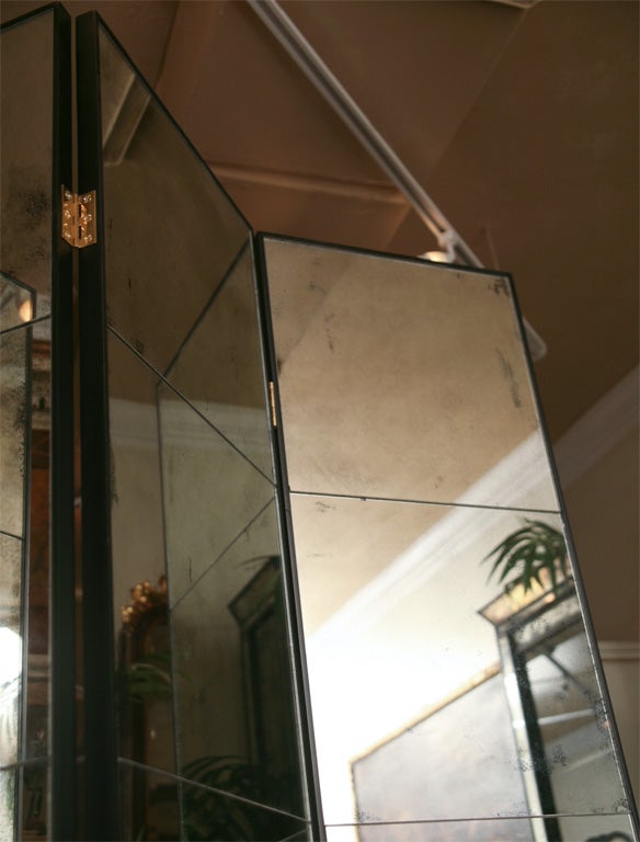 Mirrored Screen with Black Lacquer 2