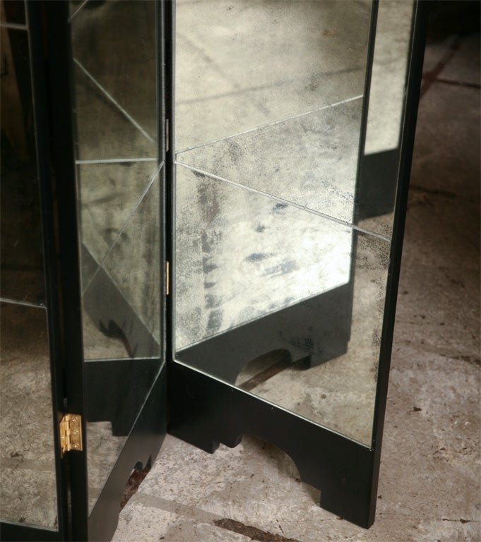 Mirrored Screen with Black Lacquer 5