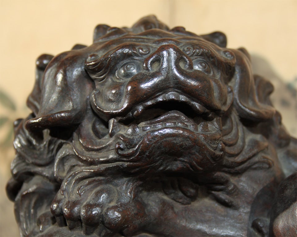 Japanese bronze casting of a lion dog, (shishi), protectively curled around a flaming pearl of potentiality (hojin-no-tama). Hollow form; when used as a censer, smoke would emanate from the mouth of the beast.