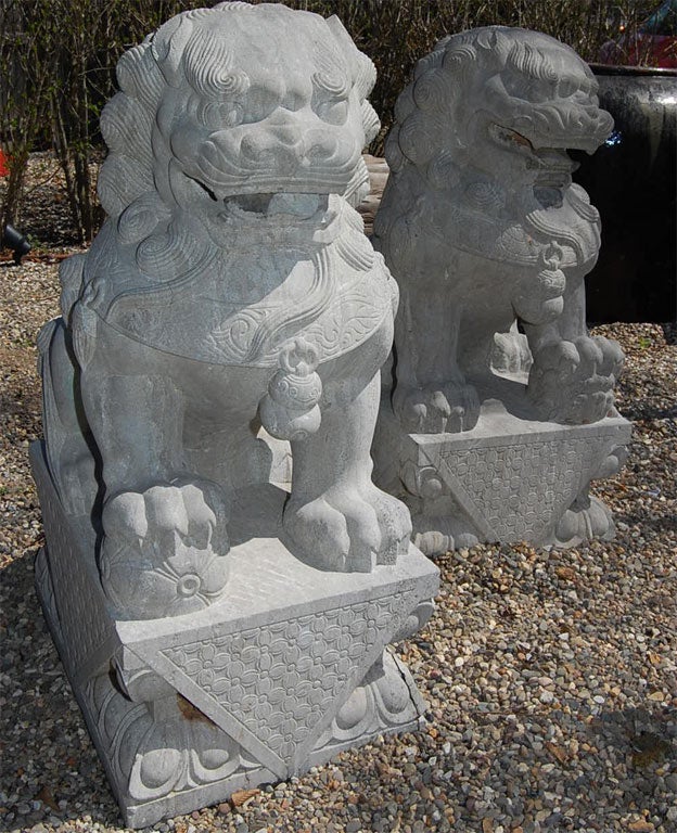Large pair of stone Foo Dogs