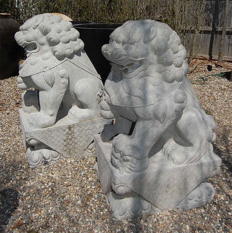 20th Century Pair of Carved Stone Chinese Foo Dogs
