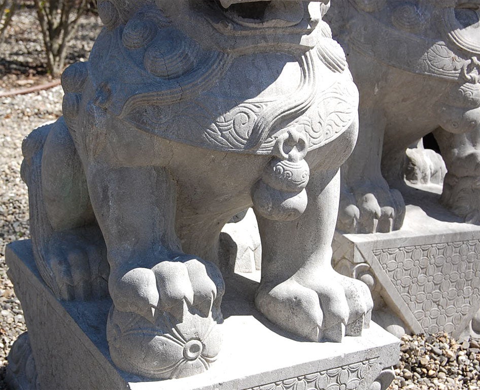 Pair of Carved Stone Chinese Foo Dogs 5