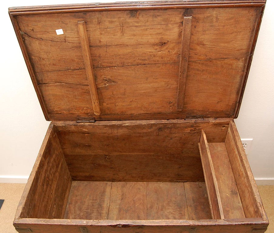 19th Century Anglo-Indian Teak Tea Chest or Trunk 2