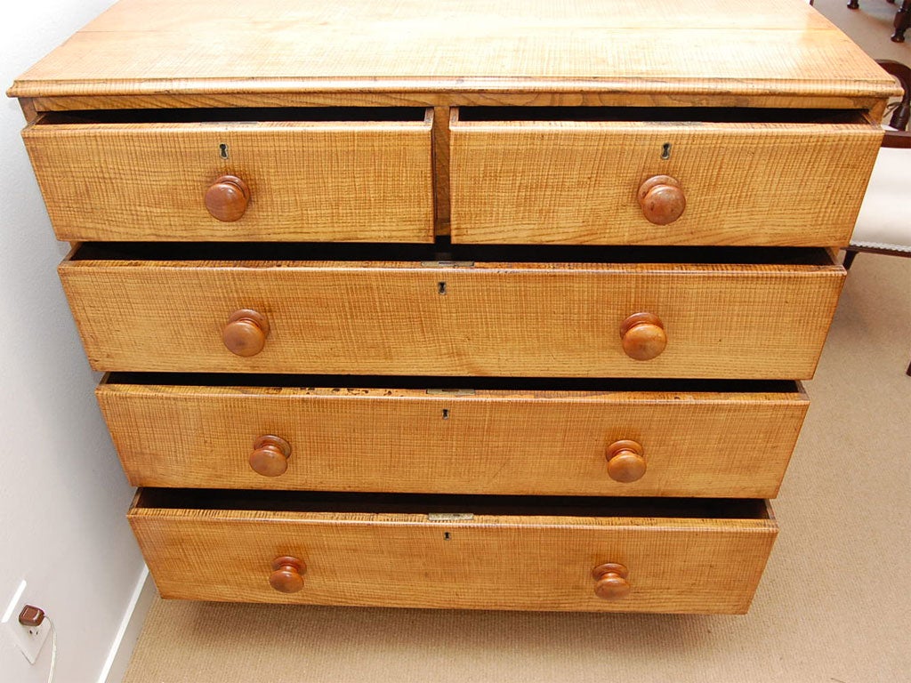 Early 19th Century Fiddleback Ash Chest 3