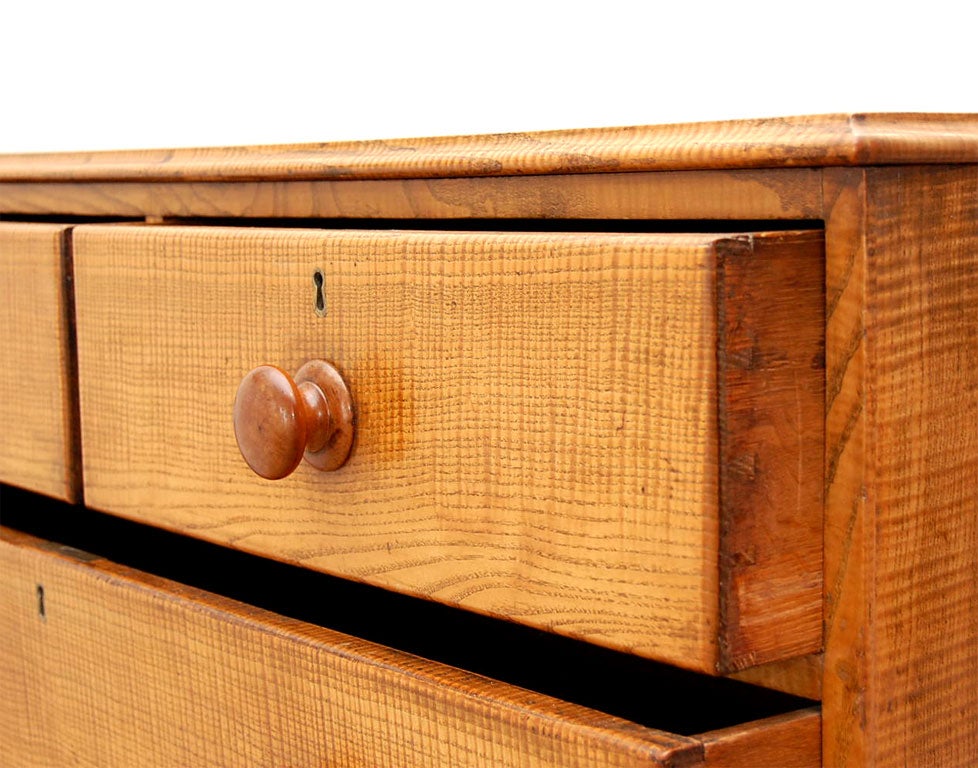 Early 19th Century Fiddleback Ash Chest 5