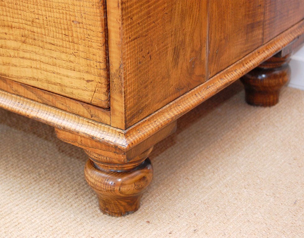 Early 19th Century Fiddleback Ash Chest 2