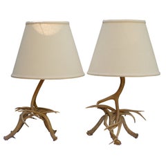 A Pair of Antler Lamps