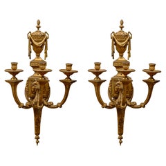 Pair Louis XVI Gilt-Bronze Sconces, France c. 1870