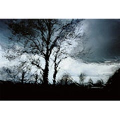 Untitled, from the Series "Face Au Silence" by Christophe Agou 6