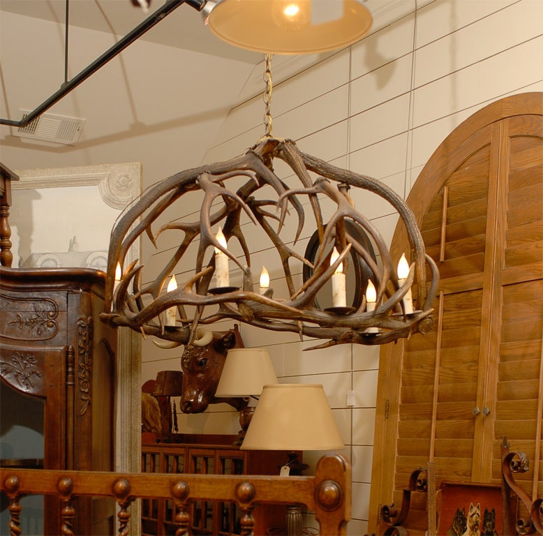 Large Antler Chandelier