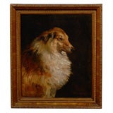 Oil Painting of Collie Dog