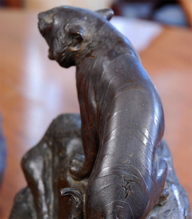 Un par de atriles de tigre de bronce en venta 4