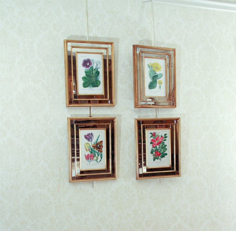 BOTANICALS IN MIRROR FRAME BY PAUL KLINCKSIEK