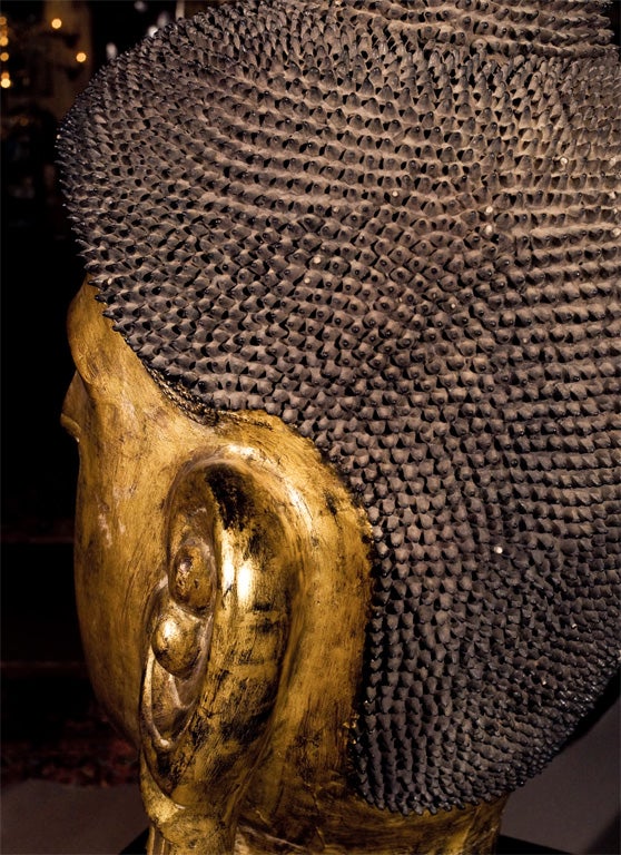 Monumental Carved Buddha head - HUGE  53" Tall