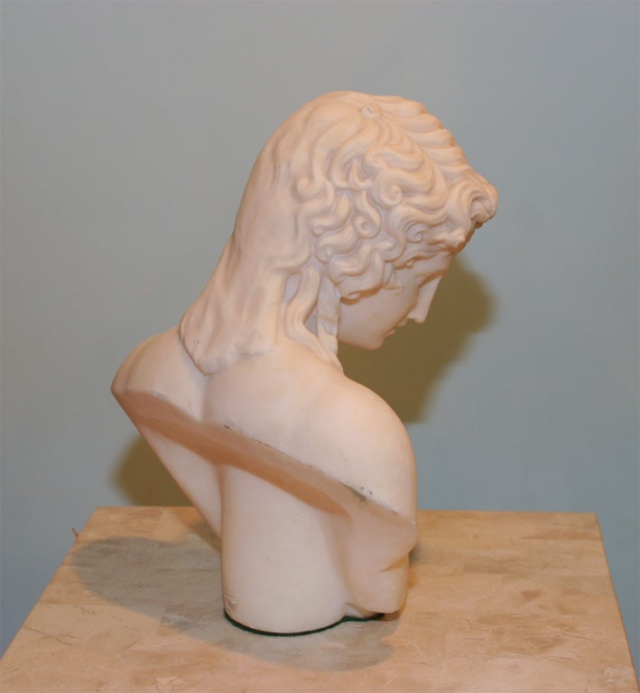 Mid-20th Century Marble Museum Cast Sculpture of Michelangelo's David