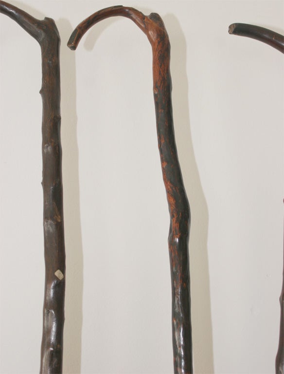 African Walking Sticks In Excellent Condition In New York, NY