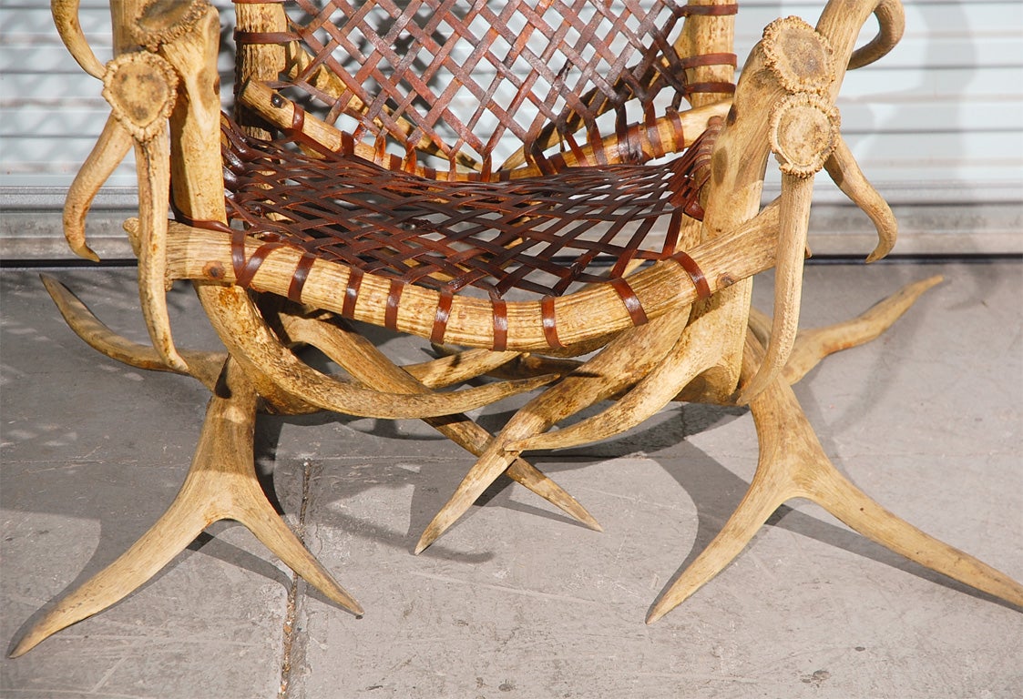 20th Century Three Antler Armchairs For Sale
