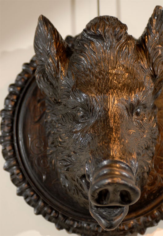 black forest boar