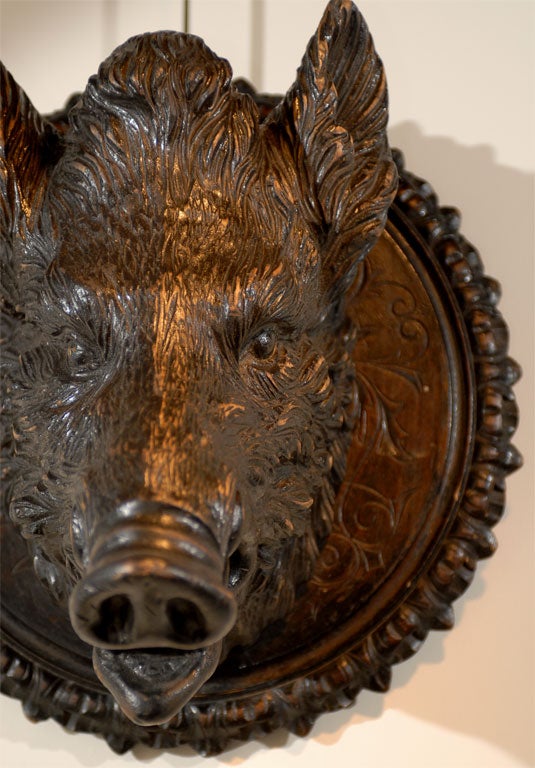 boars head gucci hat