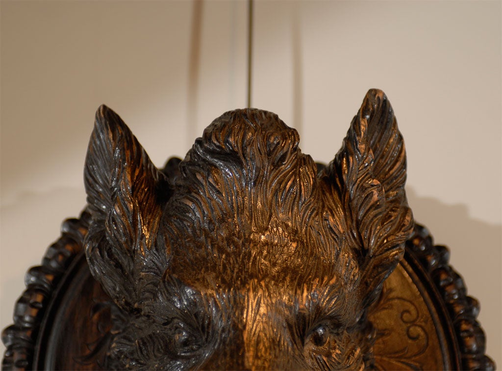 boar's head gucci hat