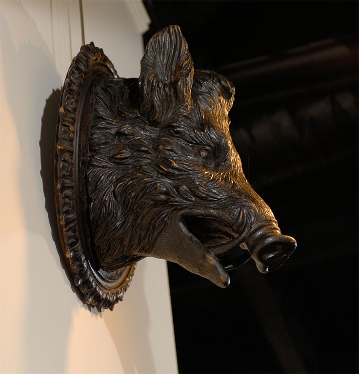 20th Century Black Forest Carved Boar's head