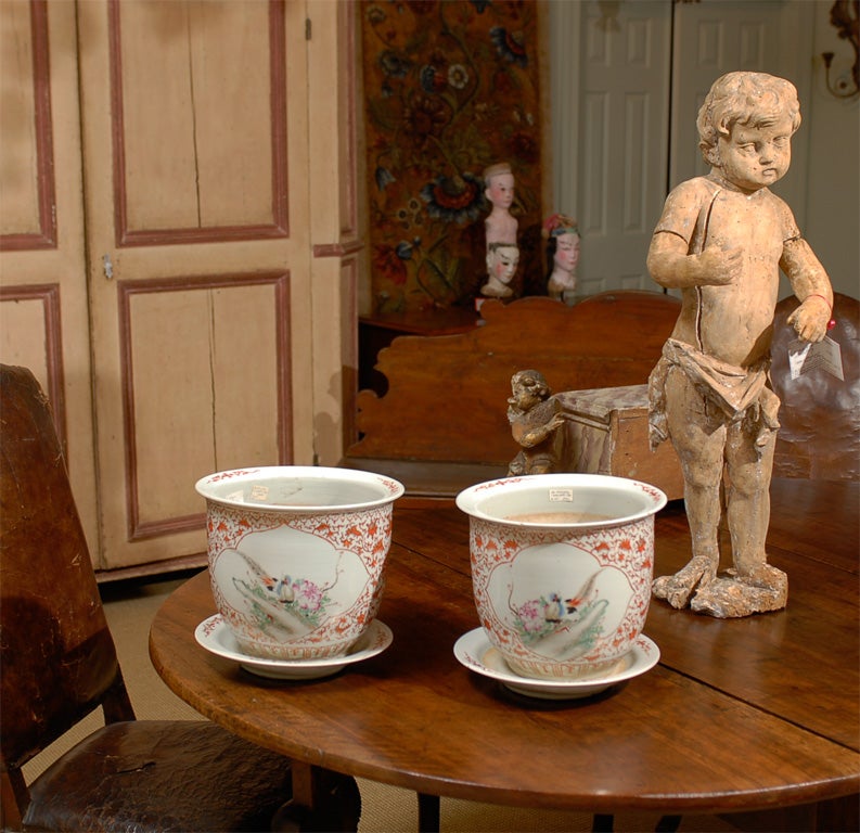 Chinese Cachepots