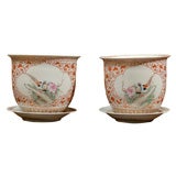 Chinese Cachepots