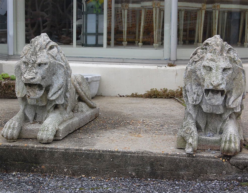 Pair of recumbent cast stone lions  with excellent detail.
The aggregate contains marble chips which add some life to the casting. Some damage to one paw as shown in the image..