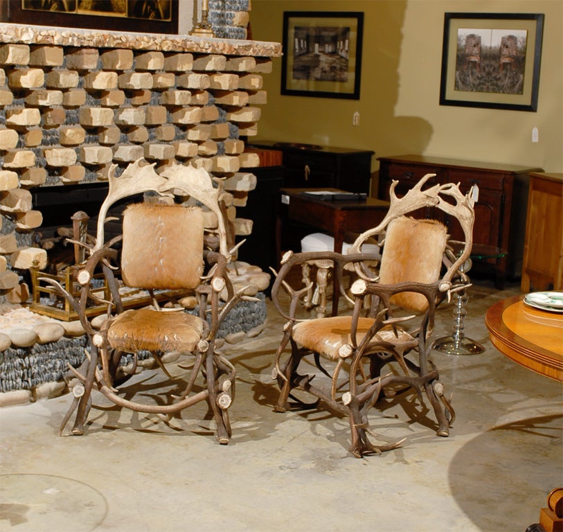 Pair of black forest stag horn chairs in very sturdy condition.  No wiggle to the chairs