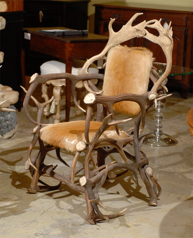 20th Century Black Forest Horn Chairs