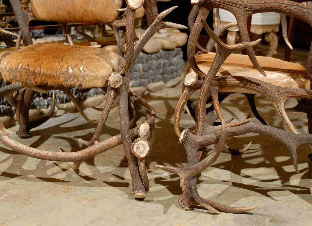 Black Forest Horn Chairs 1