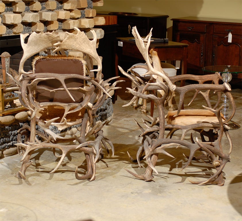 Black Forest Horn Chairs 4