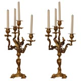 Pair of Louis XV Gilt Bronze Candelabra